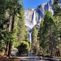 The Trump regime dirty Yosemite secret land scheme