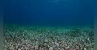 US moves toward first major seabed minerals lease sale off Northern Mariana Islands