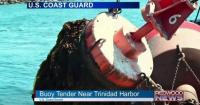Why a Large U.S. Coast Guard Ship Is Near Trinidad Harbor