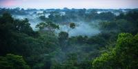 Brazil Must Not Surrender Its Critical Minerals