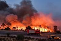 Oman offers condolences to Algeria's forest fire victims