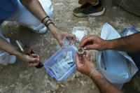 Lebanon archaeological finds showcase rich heritage despite war woes