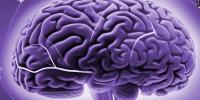 Doctors hopeful new imaging technology could allow CTE diagnosis in living patients