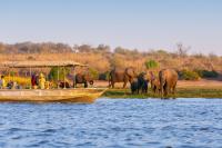 Atlas Ocean Adds 7 Pre-Voyage Safari Experiences for 2029 Sailings