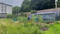 Irish gardener Ciaran De Buitlear shares four gardening jobs to do before summer comes to an end