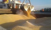 The Black Sea Region Market in August: Available Transportation Solves Everything