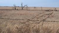 COP17: Investment hub launched to close $278bn land restoration finance gap