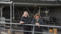 Te Ranga Pamu dairy farm wins biodiversity and primary sector awards in Bay of Plenty