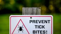 Why are 2 New York state parks top tick hotspots? What to know