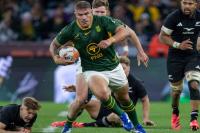 Springbok player ratings from 33-26 win against All Blacks in Cape Town