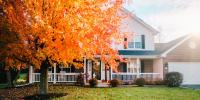 Feed Your Lawn for Fall Green