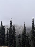 Snow Alert: It’s Snowing in Ikon Pass Country