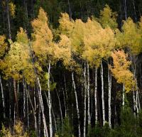 Colorado Outdoor Industry Leadership Summit to be held in Keystone