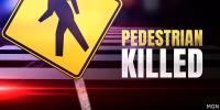 Tanner man killed in Athens after being struck by a vehicle