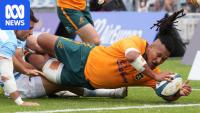 Wallabies win tense Test in Argentina as coach Kiss remains unbeaten