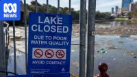 Can tiny bubbles restore health to the Torrens lake?