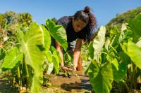Sierra Club Hawaiʻi endorses Green Party candidate Pāʻele Kiakona for House District 14