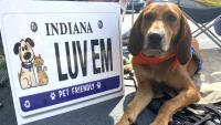 Pet Friendly Services of Indiana helping owners affected by floods