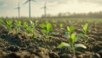 Opinion: Time for farming to reset the language on ‘net zero...