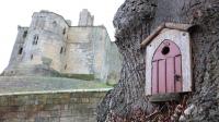 The Northumberland village steeped in historical charm attracting tourists far and wide