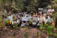 Pansar plants 503 native trees at UPM Bintulu in sustainability drive