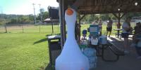 Casa for kids hosts community goose chase in Morgantown