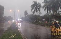 Panama is Receiving Heavy Rains Causing Trees to Fall at the Border and Force the Clearing of Roads in Barú.