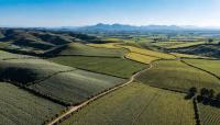 Biologicals: Export Drivers, Climate Challenges, and Long-Term Growth Potential