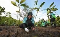 Bumi Merdeka, Warisan Bersama: TNB Preserves Nature For Future Generations