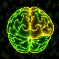 Telomere shortening links dioxin-like PCB exposure to children’s cognitive decline