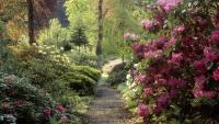 Pembrokeshire valley has secret walled garden, old mine shaft, and 900 acres of woodland