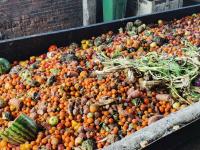 SA produces enough food, yet millions face hunger
