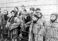 Moscow condemns Austrian plans to build supermarket on Nazi concentration camp site