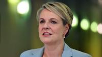 Australia should look 'very seriously' at UK-style ban on strangulation porn: minister