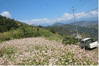 National Transmission Line Electricity Expanded to Panthok and Jugjama in Malika Rural Municipality