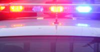 2 arrested after man allegedly assaulted, left in swampy area of Michigan