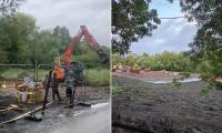 'Travellers' rip up wildlife haven with diggers and heavy machinery as they wage Bank Holiday 'land grab' while council offices are closed