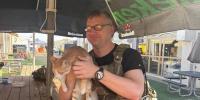 From Baghdad to Stoughton: Wisconsin soldier reunites with cat who helped him through deployment