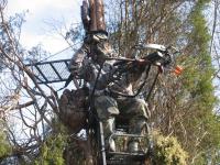 Do you really need a treestand to kill a Maine deer?  