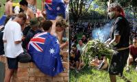 Council rejects free barbecue at Australia Day event after Indigenous board warned it would cause harm