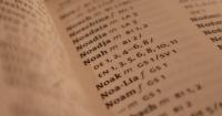 From 'Kasai' to 'Kitty,' Japanese-style 'sparkling' names gaining popularity overseas