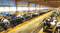 Food industry makes major strides, strengthening economic diversification and food security