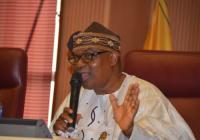 Nigeria reaffirms commitment to OIC, urges more focus on Africa, Palestine  