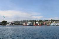 Motion of No Confidence in Wale: Why?