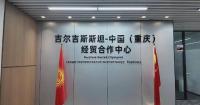 China-Kyrgyzstan trade deepens as bilateral cooperation diversifies