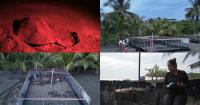 Panama Communities Race To Save Sea Turtles From Climate Change