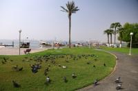Qatar Meteorology warns of fresh to strong winds, reduced visibility on Tuesday and Wednesday