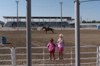 Pink pigs, blue ribbons and a lifetime of memories made at northeast Colorado’s county fairs