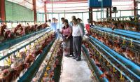 President Calls for Strict Oversight of Land Allocated for Farming and Livestock