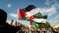 Film world calls on Venice Film Festival to fly Palestinian flag